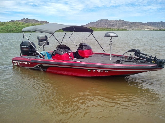 Bgboats Bass Fish